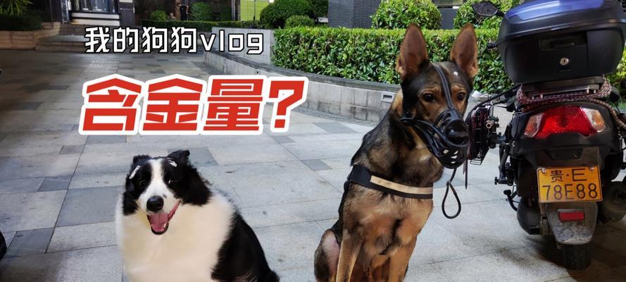 文章详情图片