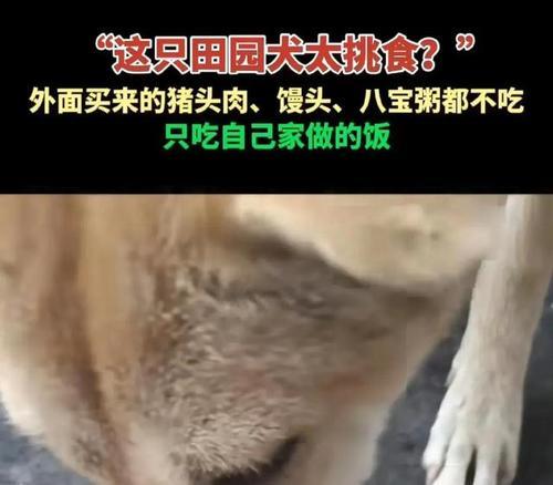 文章详情图片