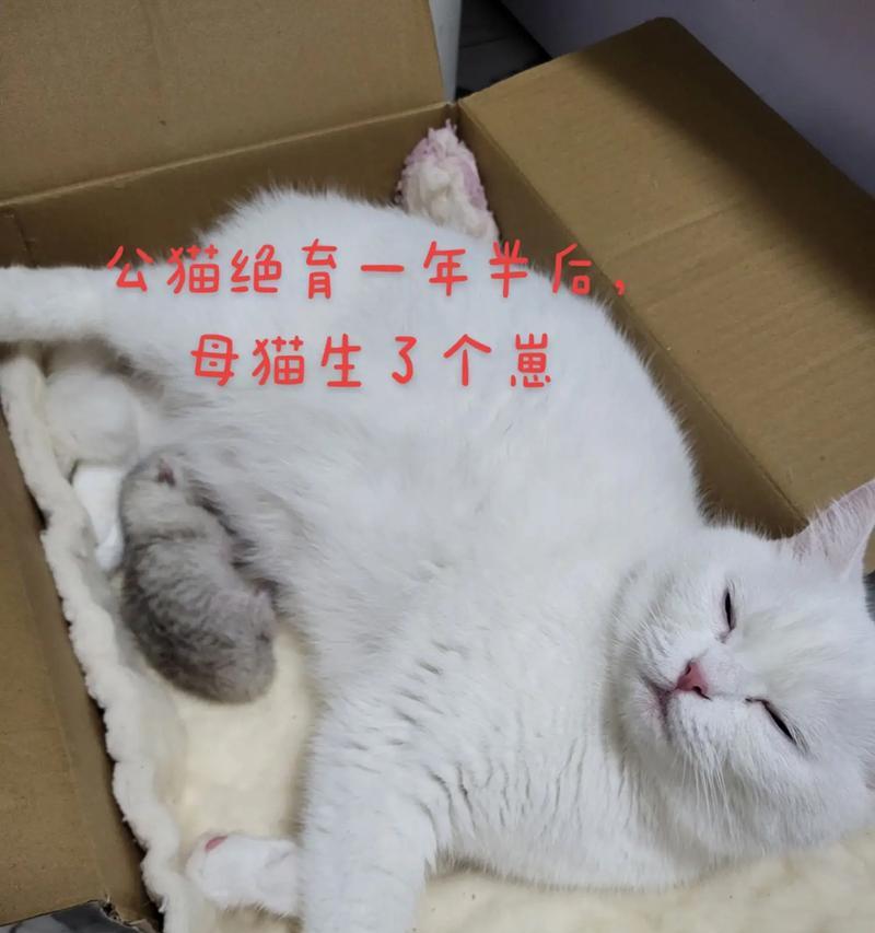 文章详情图片