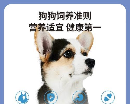 文章详情图片