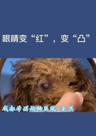 文章详情图片