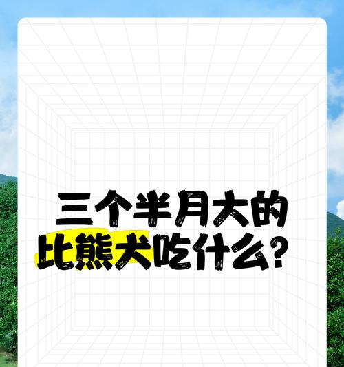文章详情图片