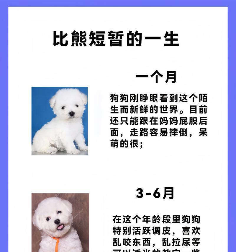 文章详情图片