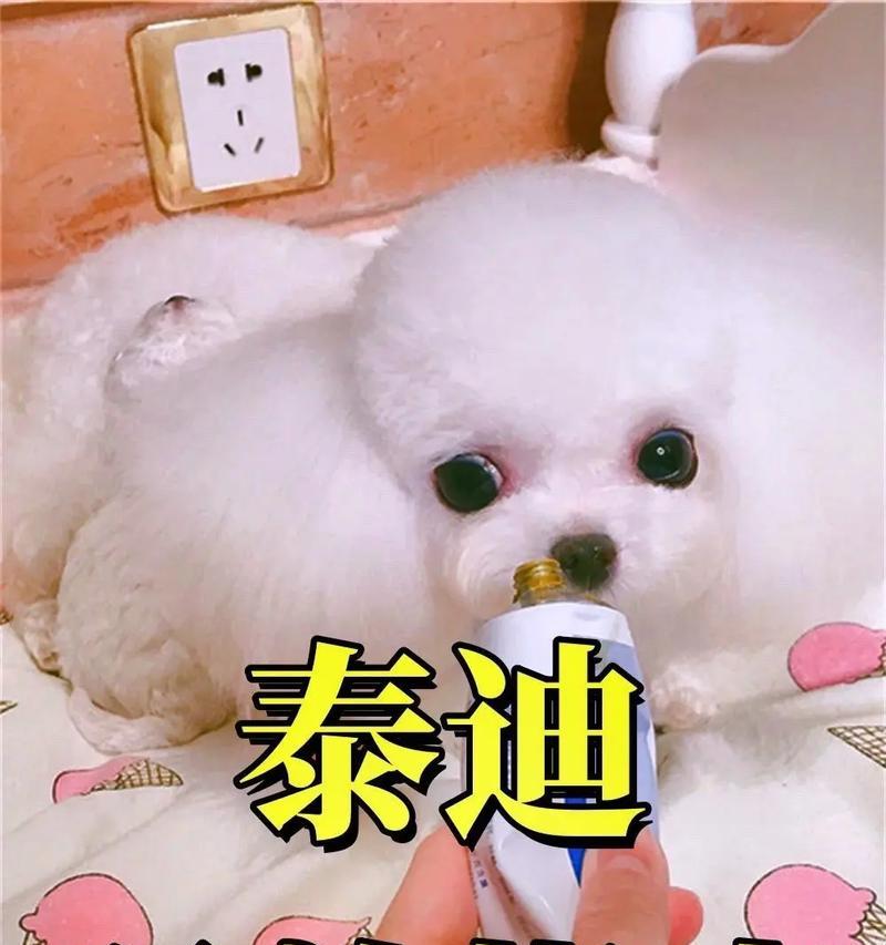文章详情图片