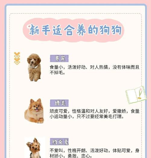 文章详情图片