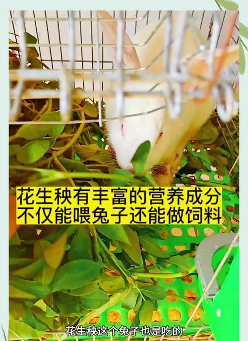 文章详情图片