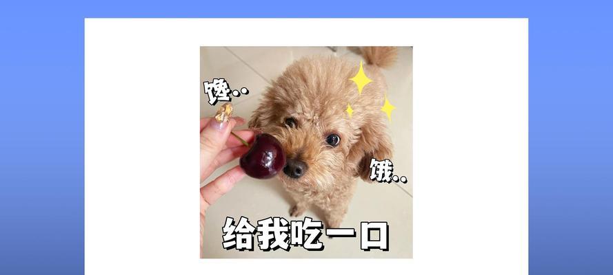 文章详情图片