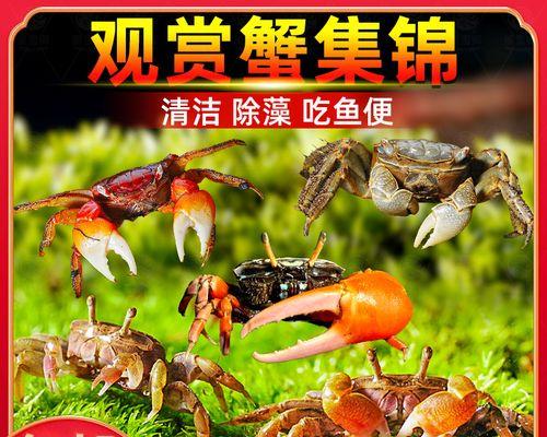 文章详情图片