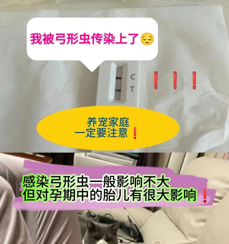 文章详情图片
