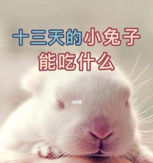 文章详情图片