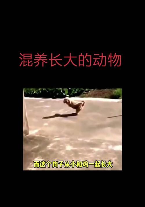 文章详情图片