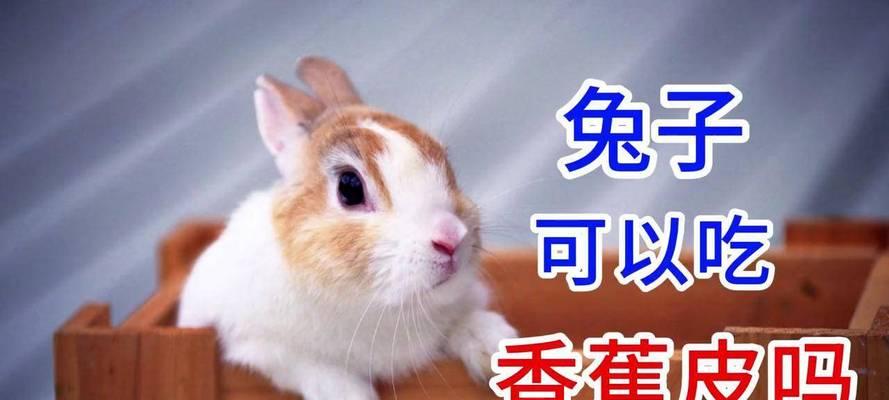 文章详情图片
