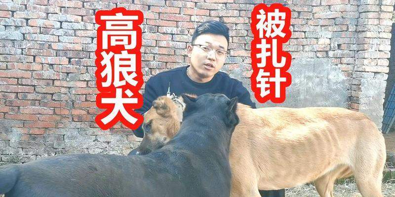 文章详情图片