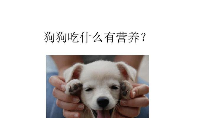 文章详情图片