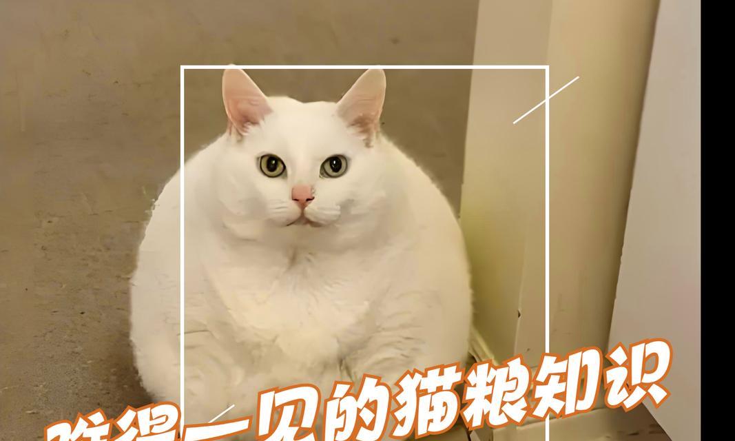 文章详情图片