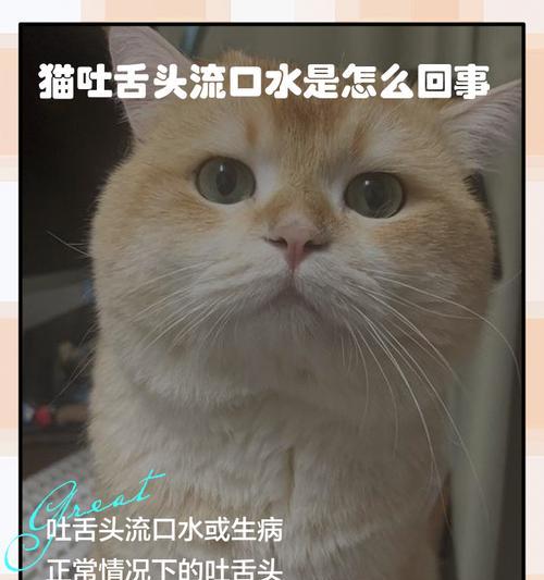文章详情图片