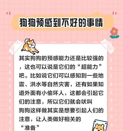 文章详情图片