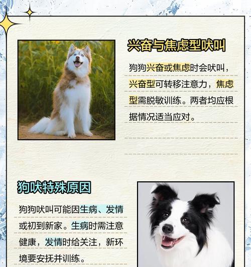 文章详情图片