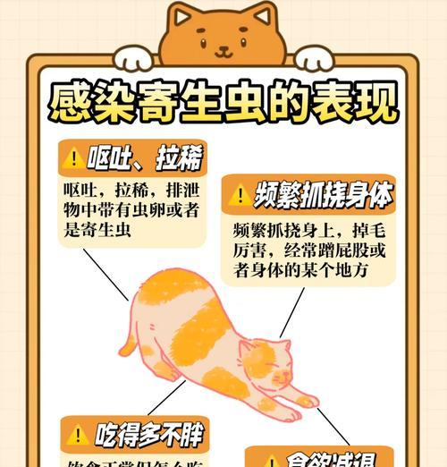 文章详情图片