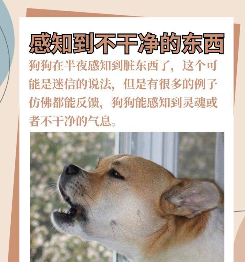 文章详情图片