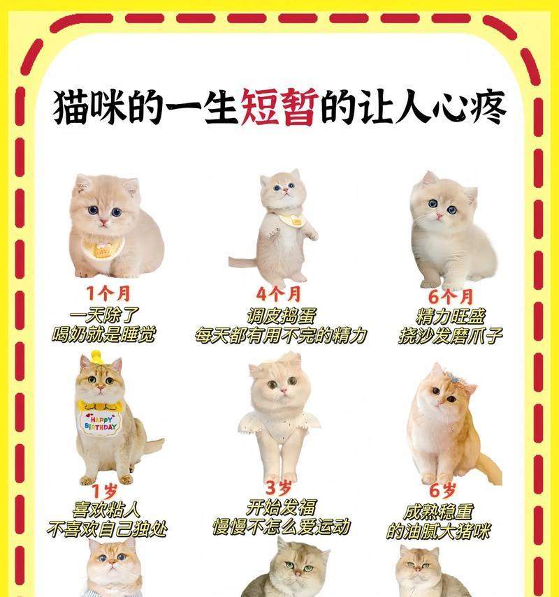 文章详情图片