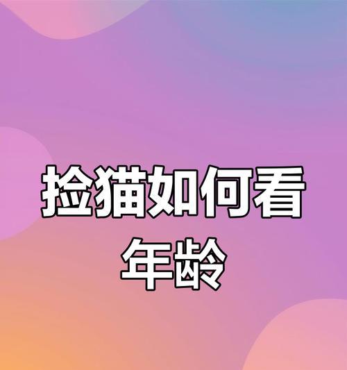 文章详情图片