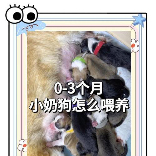 文章详情图片