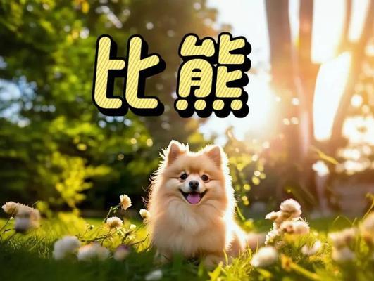 文章详情图片