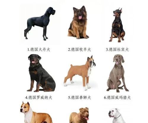 文章详情图片