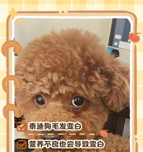 文章详情图片
