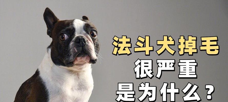 文章详情图片