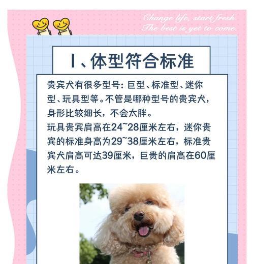 文章详情图片