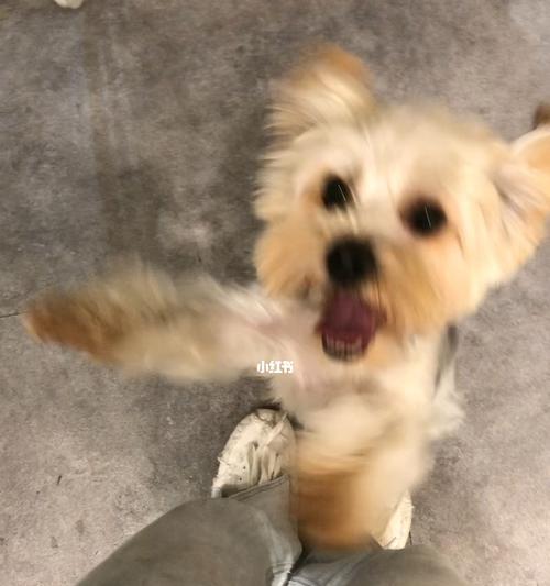 文章详情图片