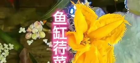 文章详情图片