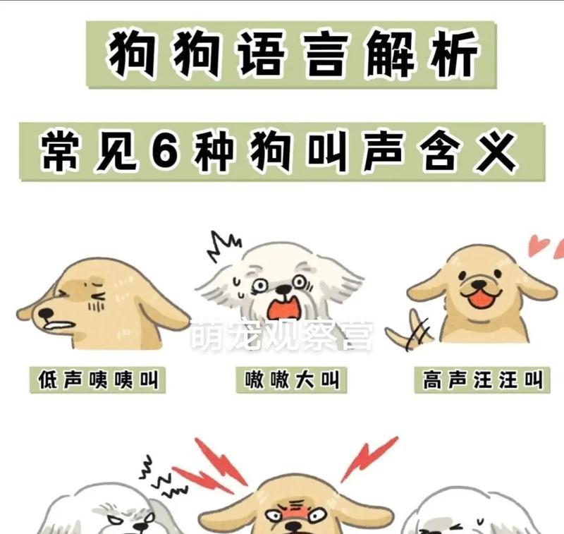 文章详情图片