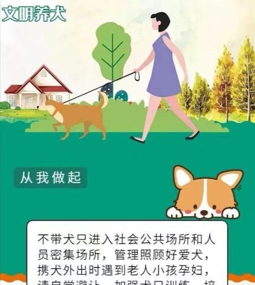 文章详情图片