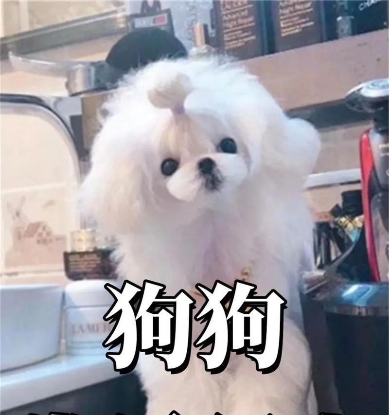 文章详情图片
