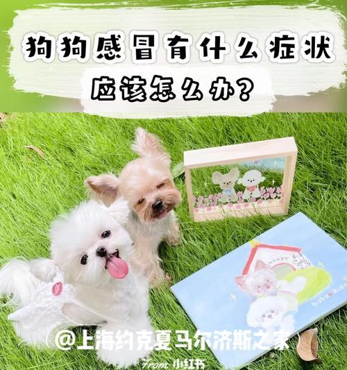 文章详情图片