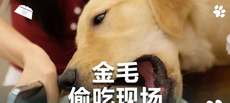 文章详情图片