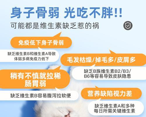 文章详情图片