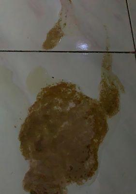 文章详情图片