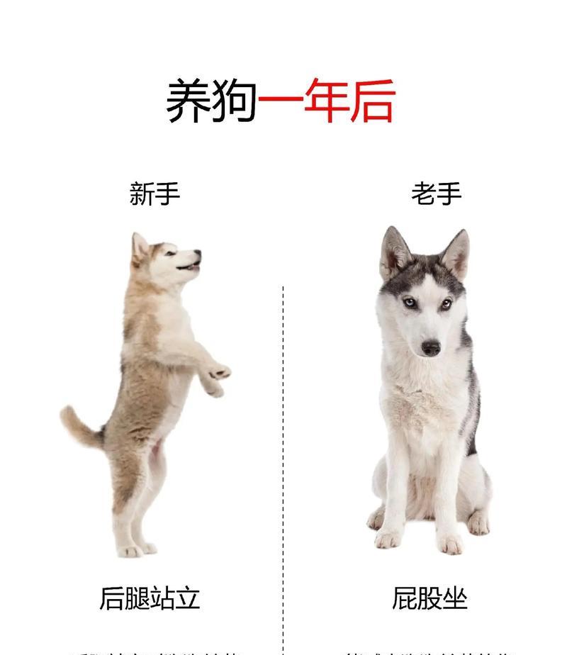 文章详情图片