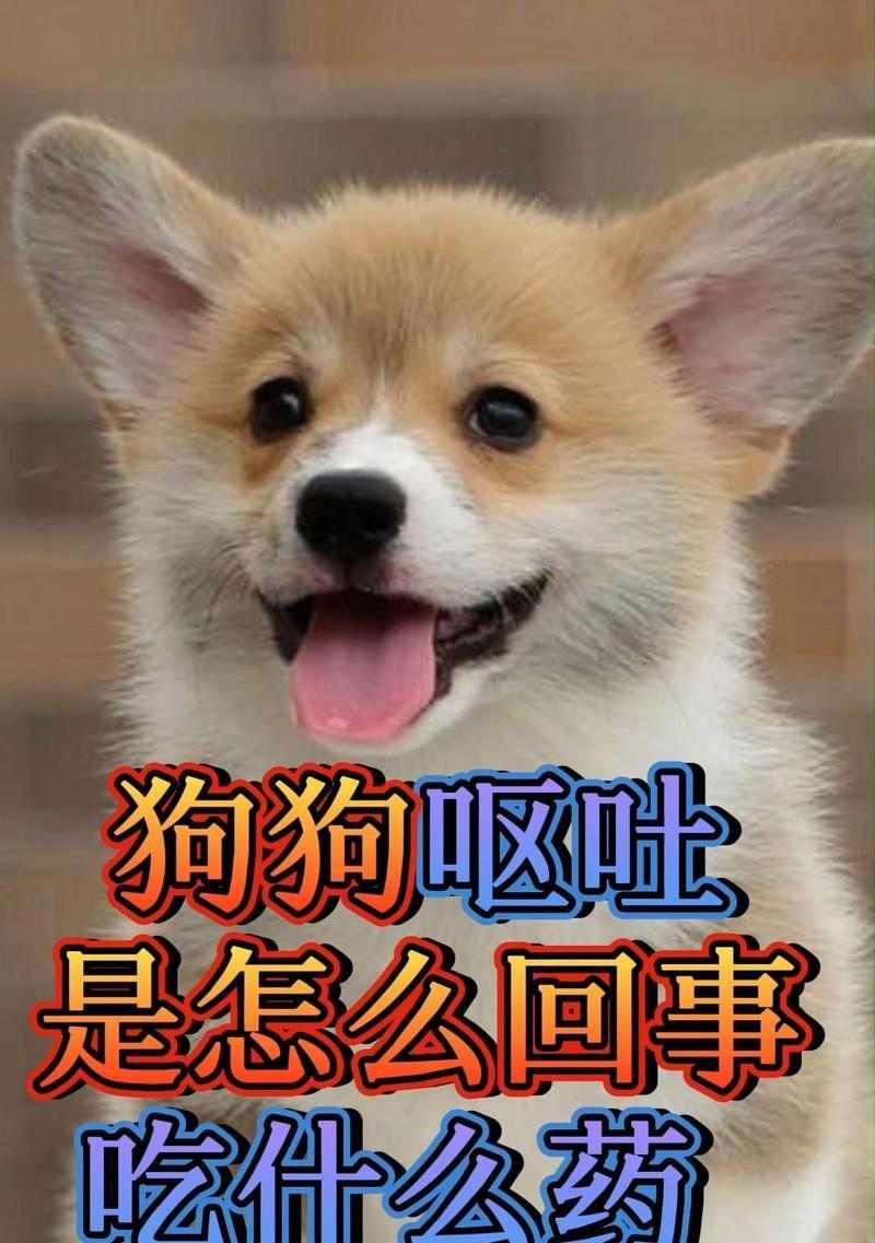 文章详情图片
