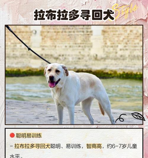 文章详情图片