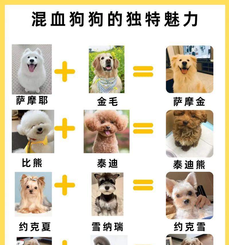 文章详情图片
