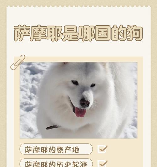 文章详情图片