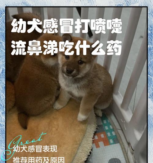 文章详情图片