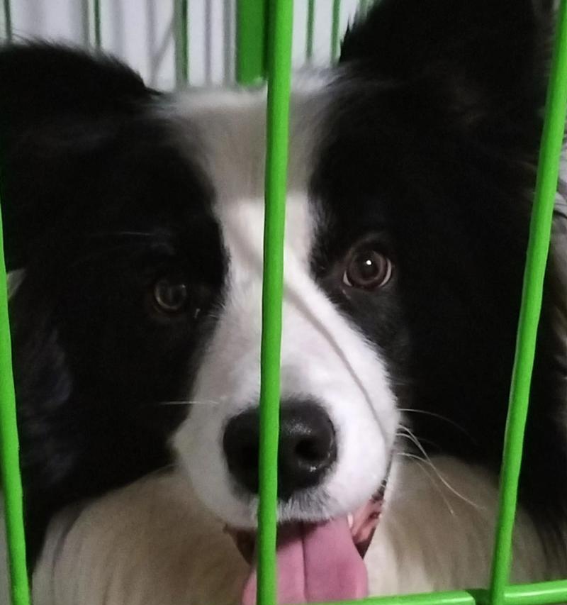 文章详情图片
