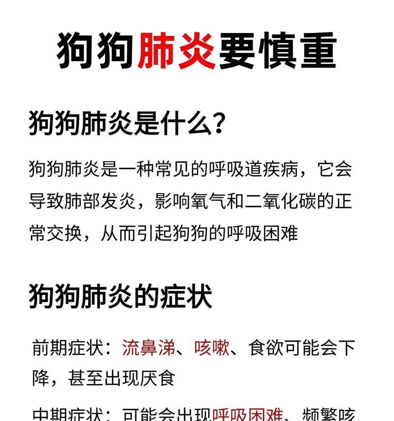 文章详情图片