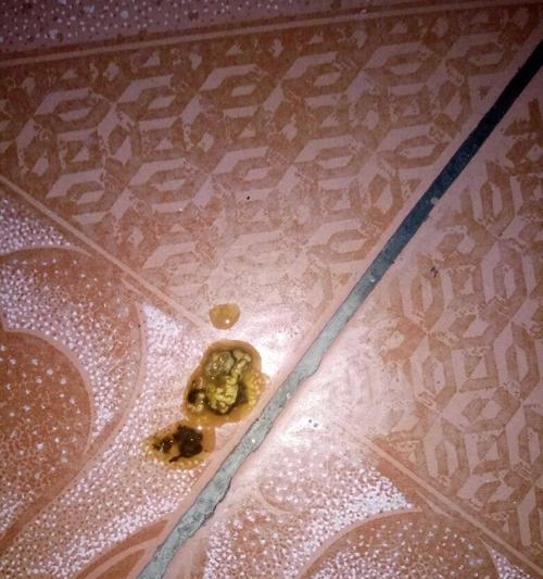 文章详情图片